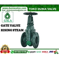 GATE VALVE GALA DN80 3 INCH CAST IRON FLANGE END PN16 RS