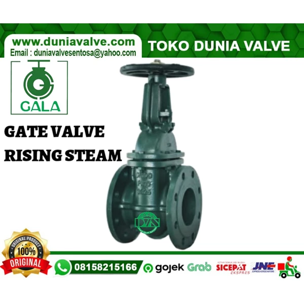 GATE VALVE GALA DN80 3 INCH CAST IRON FLANGE END PN16 RS
