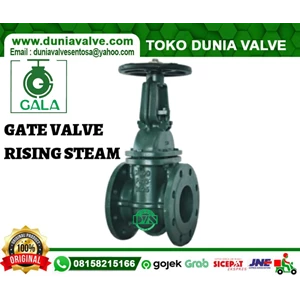 GATE VALVE GALA DN250 10 INCH CAST IRON FLANGE END PN16 RS
